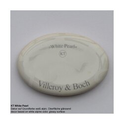 Villeroy & Boch Spülmodul Spülstein Doppelbecken Handbedienung Trendline KT White Pearl mit Farbe R1