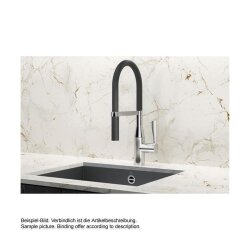Dornbracht SYNC Einhebelmischer Profi I  Küchenarmatur Wasserhahn Spültischarmatur