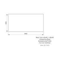 Reginox Einbaubecken New York 40/40X40 Edelstahl mit Handbetätigung