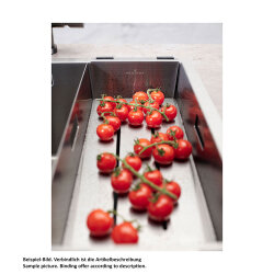 Reginox Einbaubecken Miami 50x40