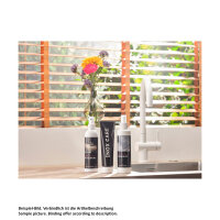 Reginox Kalklöser Mild 250 ml