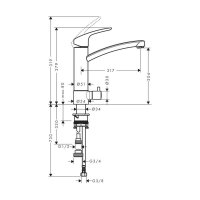 hansgrohe Küchenarmatur 200 Focus M41 | mit Geräteabsperrventil | Chrom