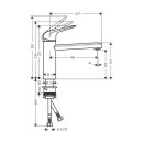 hansgrohe Küchenarmatur 120 Focus M42 | CoolStart | EcoSmart 12 l/min | Chrom