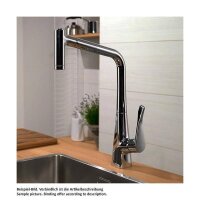 hansgrohe Küchenarmatur 320 Metris M71 | ausziehbarer Schlauch mit Brausefunktion