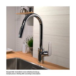 hansgrohe Küchenarmatur 240 Focus M41 | ausziehbarer...