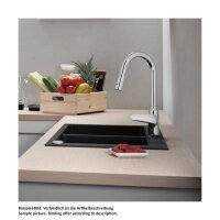 hansgrohe Küchenarmatur 220 Focus M42 | ausziehbarer Schlauch mit Brausefunktion