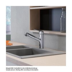 hansgrohe Küchenarmatur 150 Focus M42 | ausziehbarer...