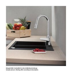 hansgrohe Küchenarmatur 220 Focus M42 | ausziehbarer Schlauch mit Brausefunktion | mit Schlauchbox (sBox)