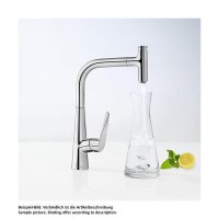 hansgrohe Küchenarmatur 220 Talis Select M51 | ausziehbarer Auslauf