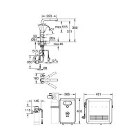 Grohe Küchenarmatur Blue Professional L-Auslauf (ausziehbarer Auslauf)