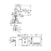Grohe Küchenarmatur Blue Professional C-Auslauf (ausziehbarer Auslauf)