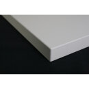 Fenix-Tischplatte / Trägermaterial Spanplatte / 25 mm stark / gerade Kante / 60 x 60 cm