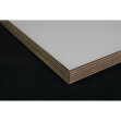 Fenix-Tischplatte / Trägermaterial Multiplex / 20 mm stark / gerade Kante / 100 x 80 cm