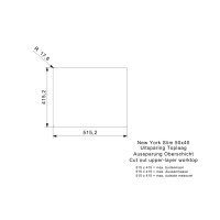 Reginox Einbaubecken New York 50x40 slim Edelstahl flächenbündig einbaubar