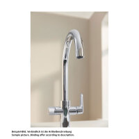 GROHE Küchenarmatur Blue Pure BauCurve C-Auslauf Starter Kit mit ultra safe Filter Chrom