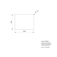Reginox Einbaubecken Vero 50x40 flächenbündig einbaubar Edelstahl