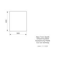 Reginox Einbaubecken New York 34X40 Edelstahl mit Handbetätigung -NEUWERTIG-