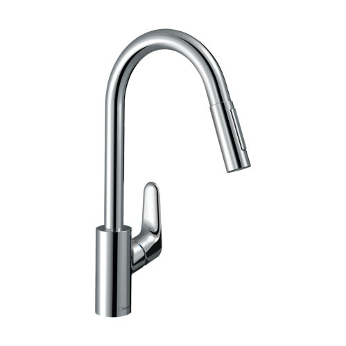 hansgrohe Küchenarmatur 240 Focus M41 Eco Smart ausziehbarer Schlauch mit Brausefunktion
