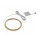 Naber LUMICA LED Band COB FW, LED Stripe