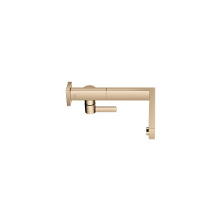 Champagne (22kt Gold)