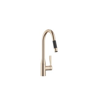 Champagne gebürstet (22kt Gold)