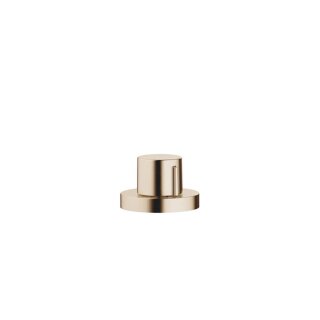 Champagne gebürstet (22kt Gold)