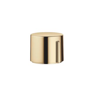 Messing (23kt Gold)