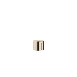 Champagne gebürstet (22kt Gold)
