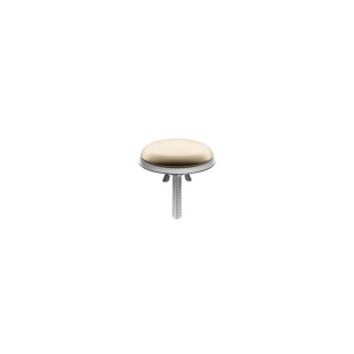 Champagne (22kt Gold)