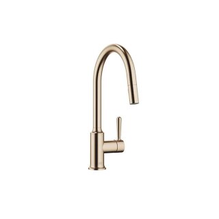 Champagne gebürstet (22kt Gold)