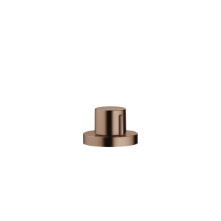 Bronze gebürstet (PVD)