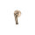 Champagne (22Kt Gold)