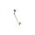 Champagne (22Kt Gold)